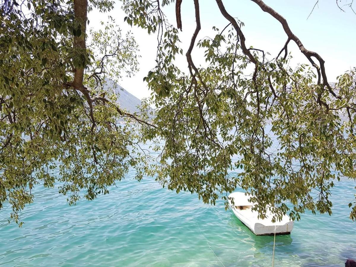 Montenegro Apartmant'S Kotor Exterior photo